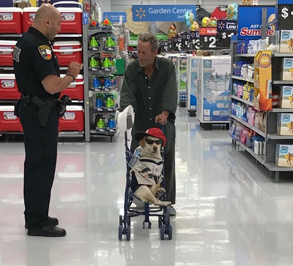 смешные ситуации в супермаркете, странные ситуации в супермаркете 