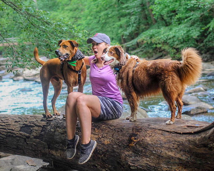 служебная собака Оукли, собака помогла хозяйке справиться с панической атакой, Оукли и Амбер 