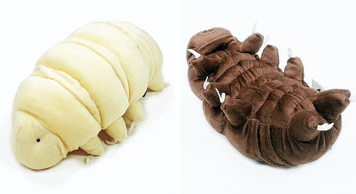 нелепые дизайнерские вещи, смешные дизайнерские вещи 