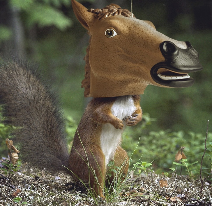 нелепые дизайнерские вещи, смешные дизайнерские вещи 