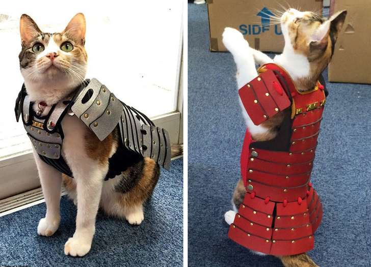 нелепые дизайнерские вещи, смешные дизайнерские вещи 