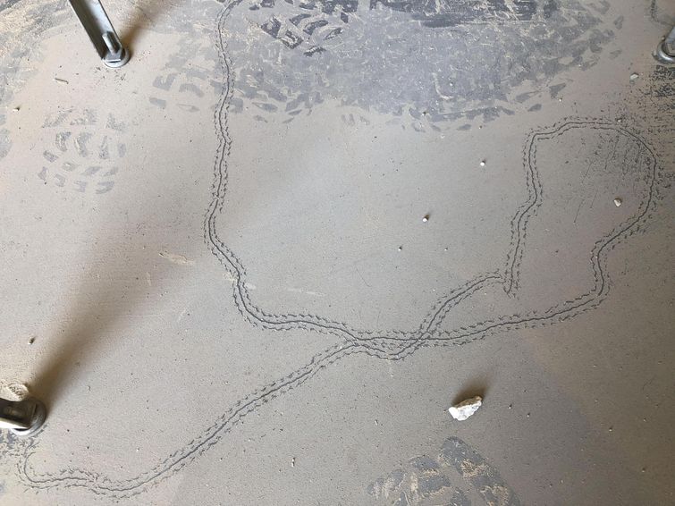 20 впечатляющих вещей, глядя на которые так и хочется сказать интересные фотографии, впечатляющие фото, познавательная фотоподборка