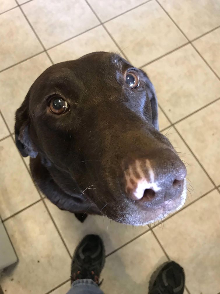 20 впечатляющих вещей, глядя на которые так и хочется сказать интересные фотографии, впечатляющие фото, познавательная фотоподборка