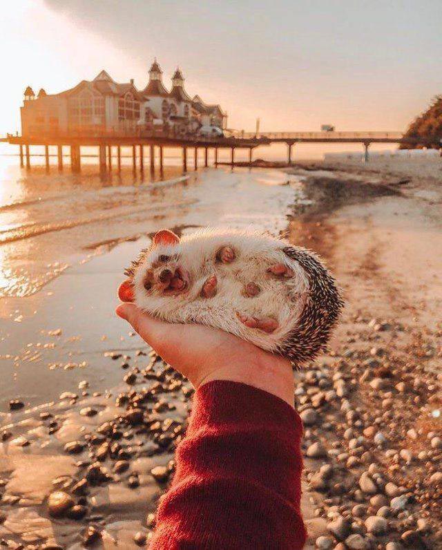 добрые фотографии, вдохновляющие фотографии, сильные фото, фотографии редкой доброты