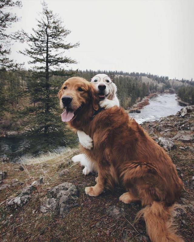 добрые фотографии, вдохновляющие фотографии, сильные фото, фотографии редкой доброты