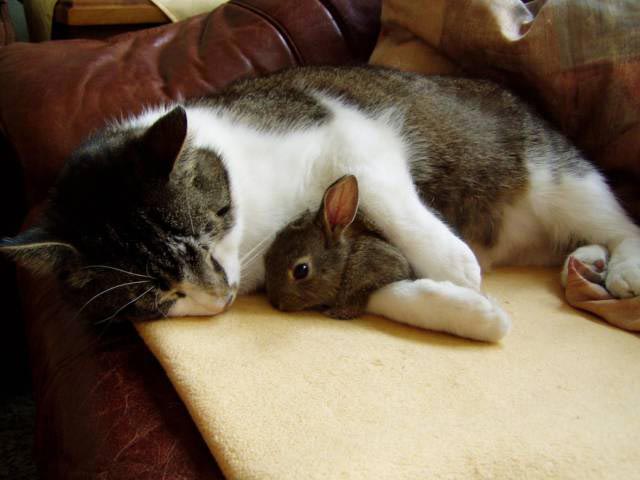 добрые фотографии, вдохновляющие фотографии, сильные фото, фотографии редкой доброты