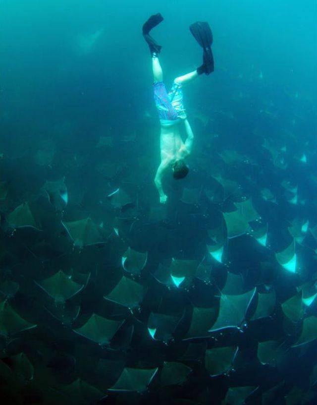 добрые фотографии, вдохновляющие фотографии, сильные фото, фотографии редкой доброты