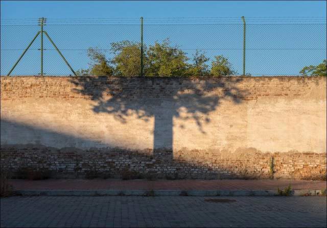 добрые фотографии, вдохновляющие фотографии, сильные фото, фотографии редкой доброты