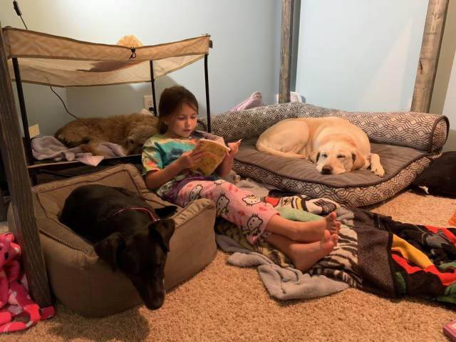 добрые фотографии, вдохновляющие фотографии, сильные фото, фотографии редкой доброты