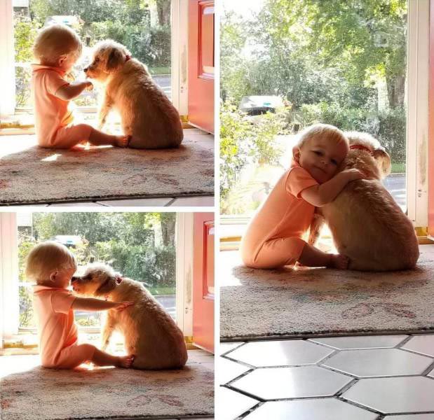 добрые фотографии, вдохновляющие фотографии, сильные фото, фотографии редкой доброты