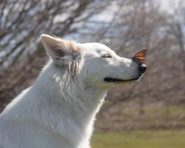 добрые фотографии, вдохновляющие фотографии, сильные фото, фотографии редкой доброты
