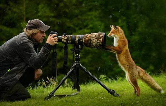 добрые фотографии, вдохновляющие фотографии, сильные фото, фотографии редкой доброты