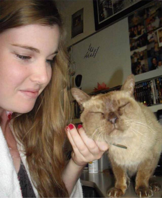 добрые фотографии, вдохновляющие фотографии, сильные фото, фотографии редкой доброты