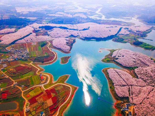 удивительные вещи, поразительные вещи о мире 