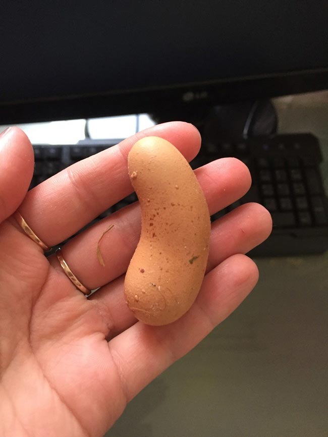 удивительные вещи, поразительные вещи о мире 