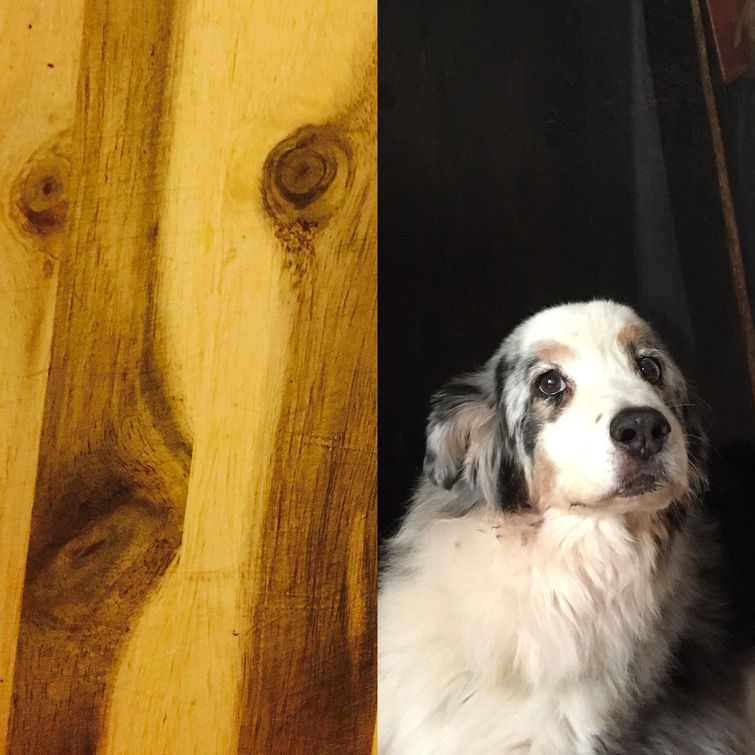 удивительные вещи, фотографии удивительных вещей, необычные вещи, редкие фотографии