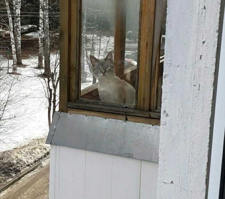 25 неожиданных фотографий, глядя на которые не сразу поймёшь, что вообще происходит фотографии глядя на которые не понятно что происходит, неожиданные фотографии, странные фотографии