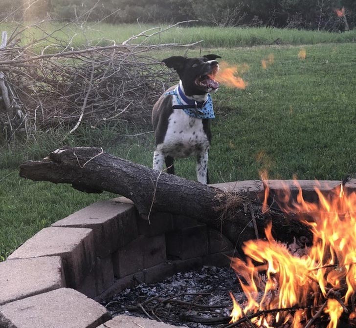 25 неожиданных фотографий, глядя на которые не сразу поймёшь, что вообще происходит фотографии глядя на которые не понятно что происходит, неожиданные фотографии, странные фотографии
