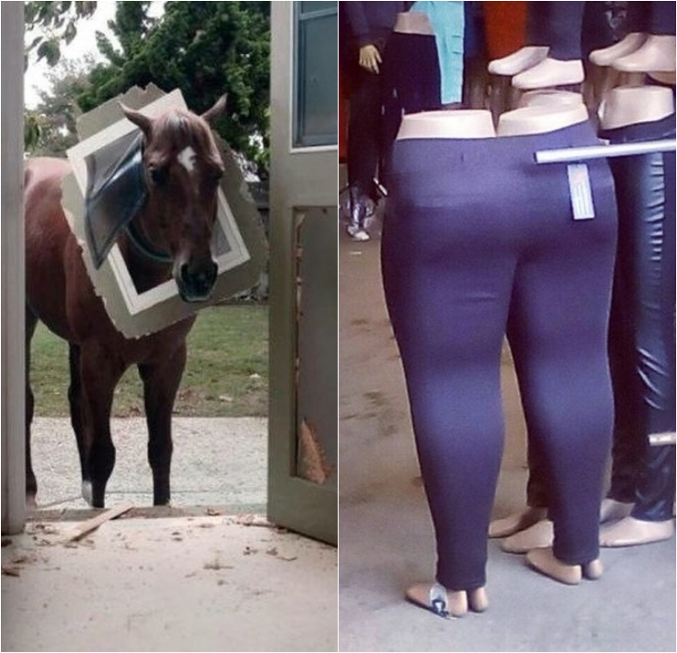 25 неожиданных фотографий, глядя на которые не сразу поймёшь, что вообще происходит фотографии глядя на которые не понятно что происходит, неожиданные фотографии, странные фотографии