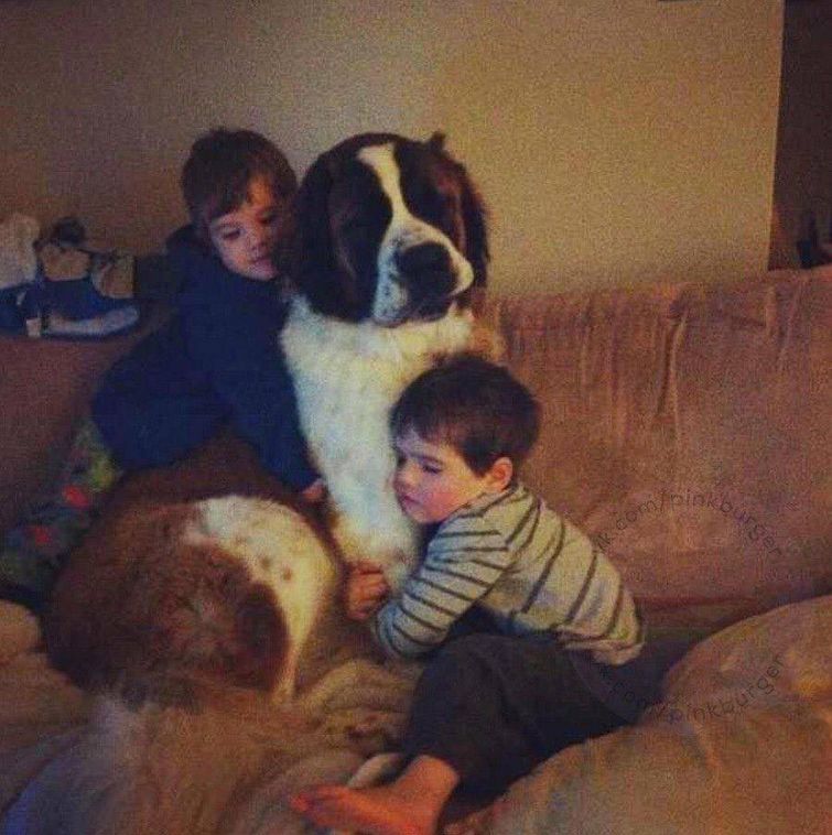 позитивные фотографии, добрые фотографии, вдохновляющие фотографии