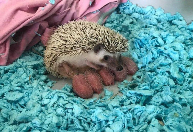 позитивные фотографии, добрые фотографии, вдохновляющие фотографии