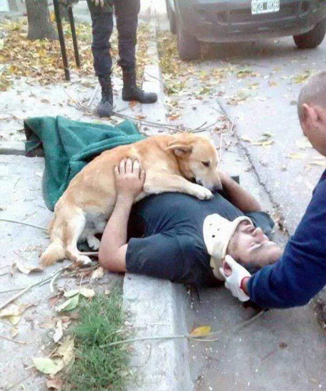 позитивные фотографии, добрые фотографии, вдохновляющие фотографии