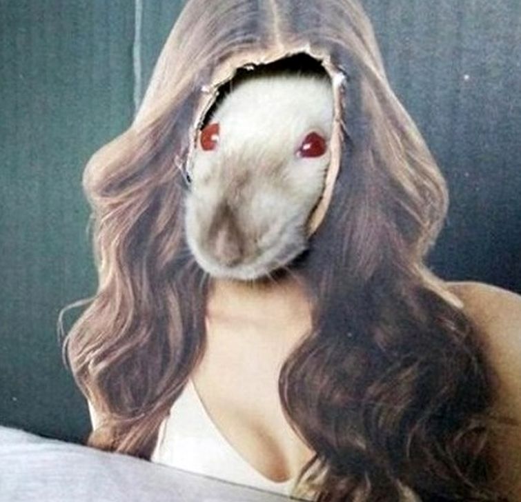 когда всё пошло не по плану,  все пошло совсем не так как планировалось