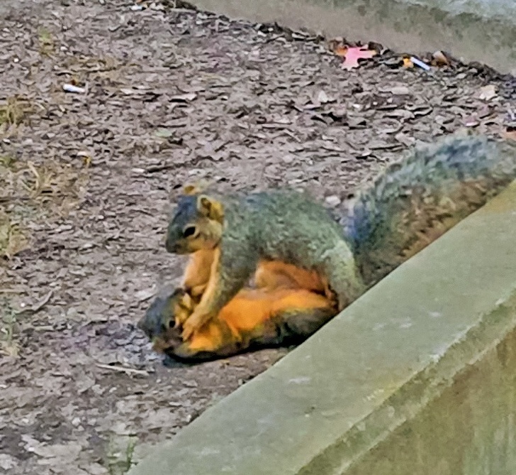 мужчины боьшие дети, мужчины ведут себя как дети