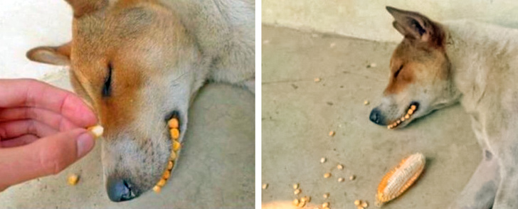 мужчины боьшие дети, мужчины ведут себя как дети