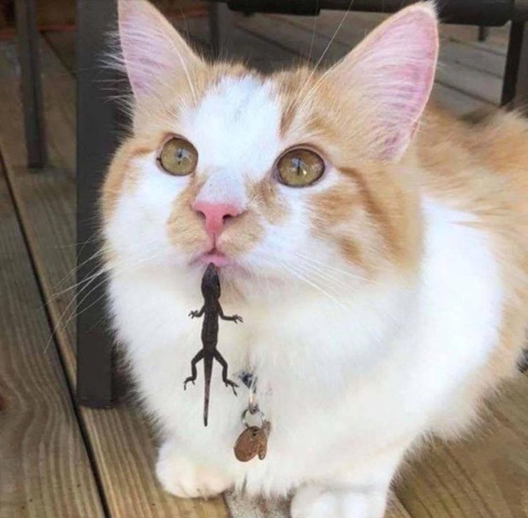 неудачный день, день не задался, фото неудач, фото провалов, люди не повезло