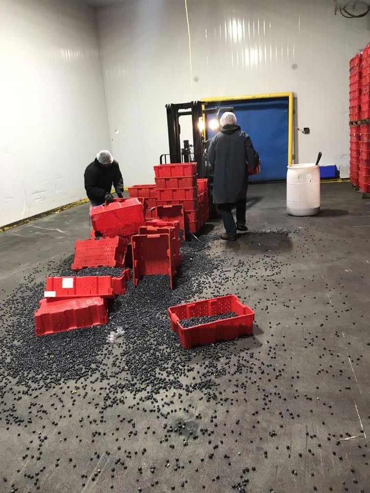 неудачный день, день не задался, фото неудач, фото провалов, люди не повезло