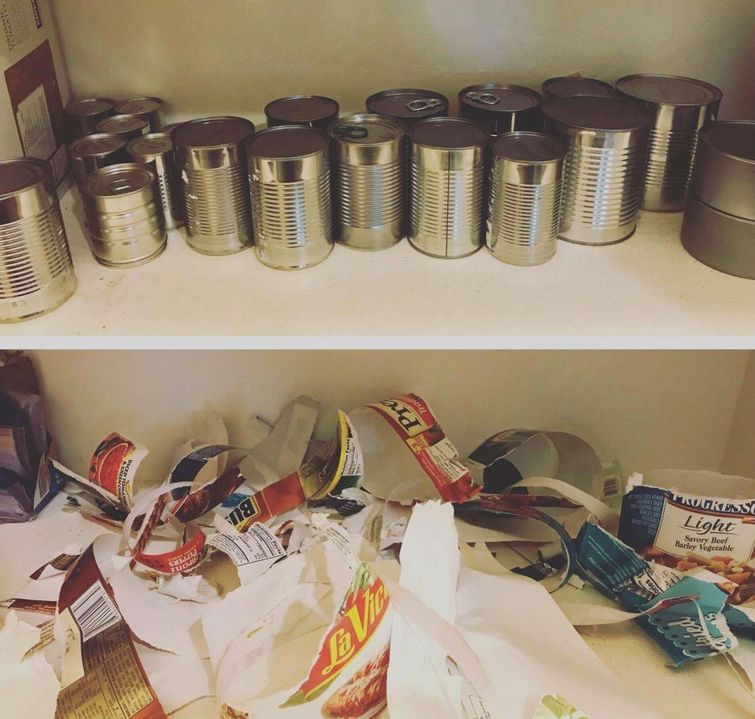 неудачный день, день не задался, фото неудач, фото провалов, люди не повезло