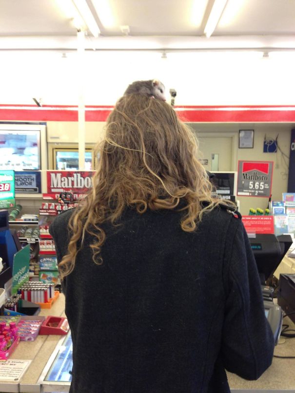 28 раз, когда у людей были фотографии, чтобы доказать их невероятные истории у людей были фотографии чтобы доказать их невероятные истории,