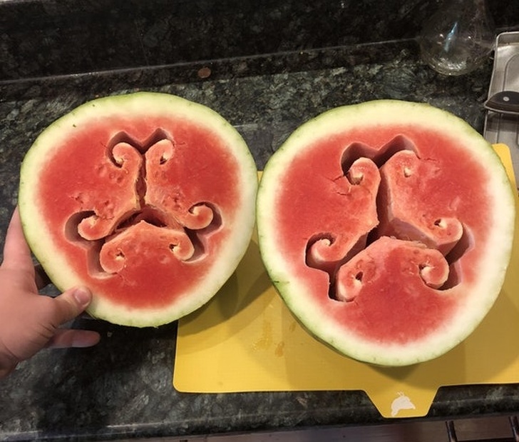 28 раз, когда у людей были фотографии, чтобы доказать их невероятные истории у людей были фотографии чтобы доказать их невероятные истории,