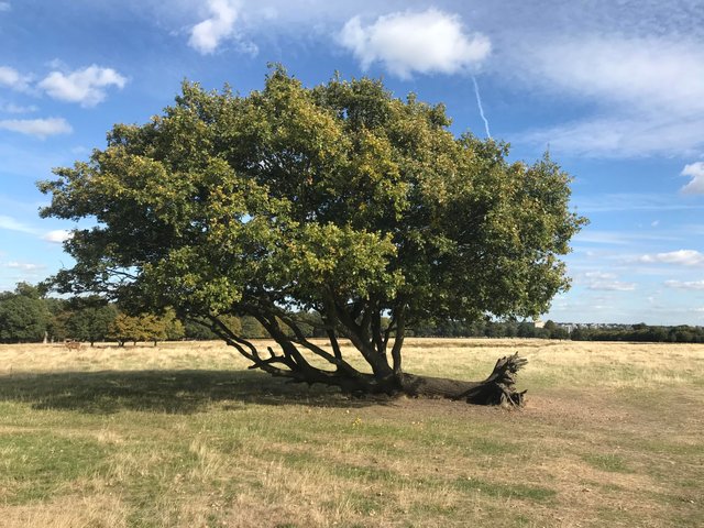 28 раз, когда у людей были фотографии, чтобы доказать их невероятные истории у людей были фотографии чтобы доказать их невероятные истории,