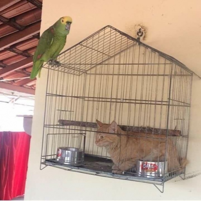 28 раз, когда у людей были фотографии, чтобы доказать их невероятные истории у людей были фотографии чтобы доказать их невероятные истории,