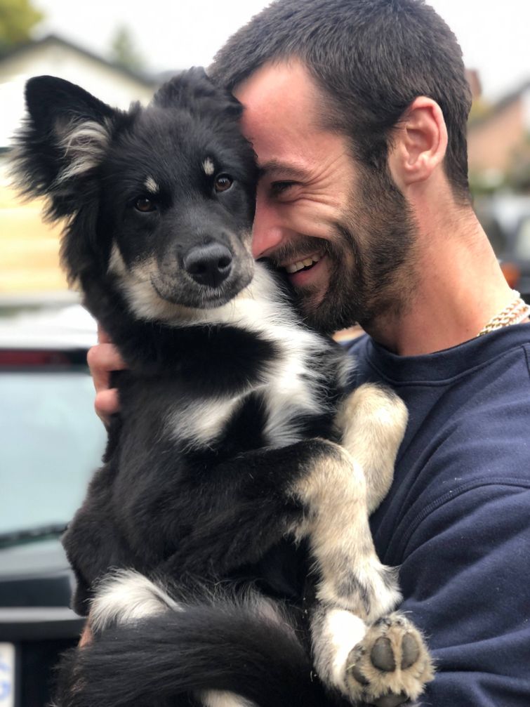 милюшные животные, животные которые уж точно поднимут настроение