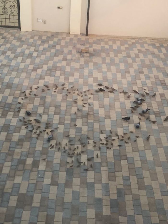 добрые дела, фотографии которые заставят вас улыбнуться 