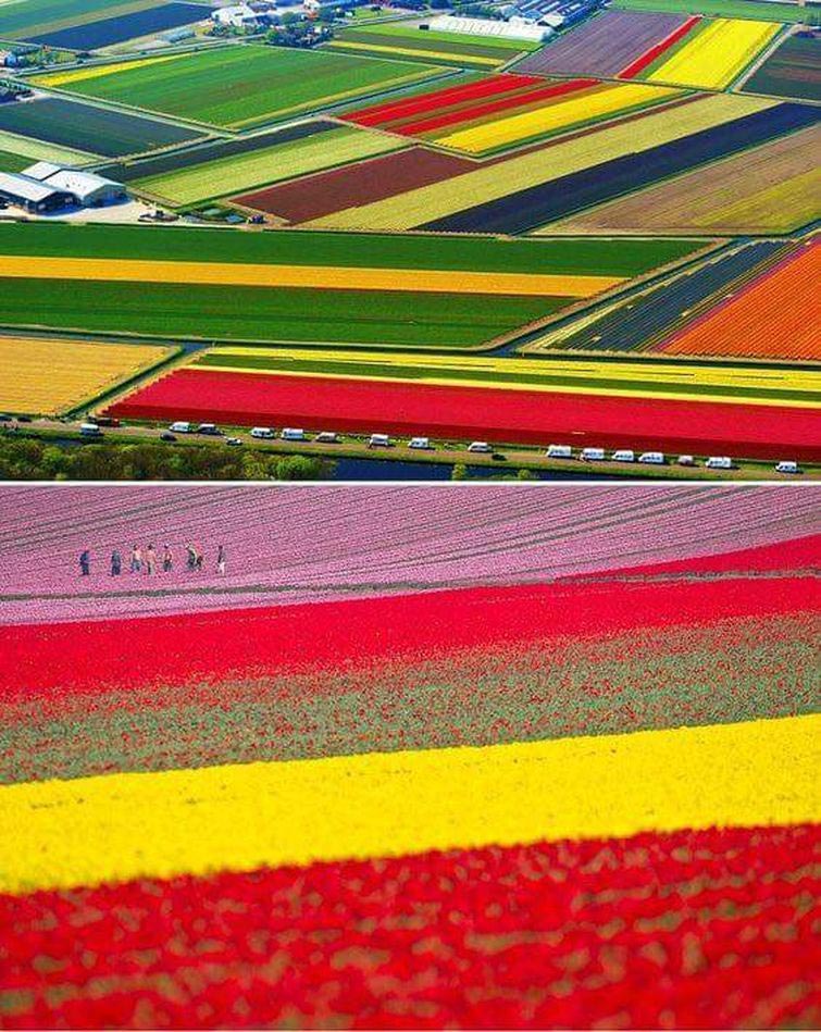 20 странно удовлетворяющих фотографий, которые расслабят ваш мозг удовлетворяющие фотографии, фотографии перфекциониста, идеальные фотографии, фото идеальных вещей