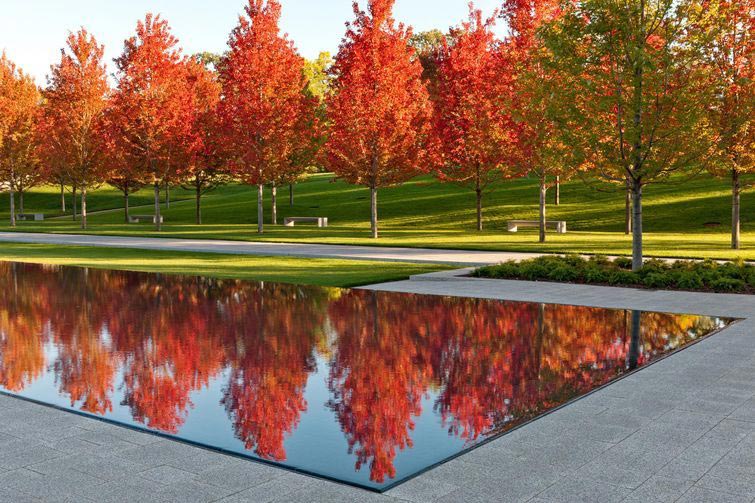 20 странно удовлетворяющих фотографий, которые расслабят ваш мозг удовлетворяющие фотографии, фотографии перфекциониста, идеальные фотографии, фото идеальных вещей