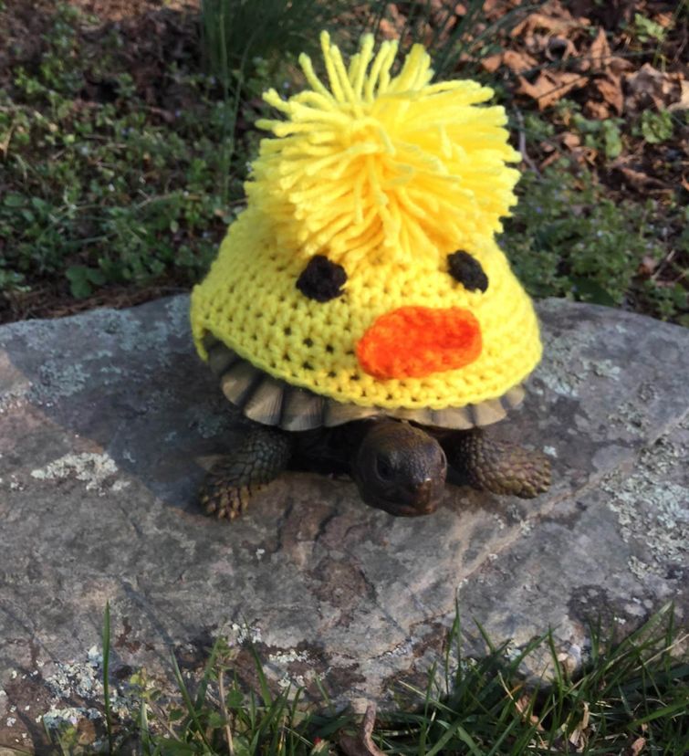 20 очень странных вещей, сделанных своими руками, которые реально можно купить в интернете странные вещи сделанные своими руками, странные вещи на etsy