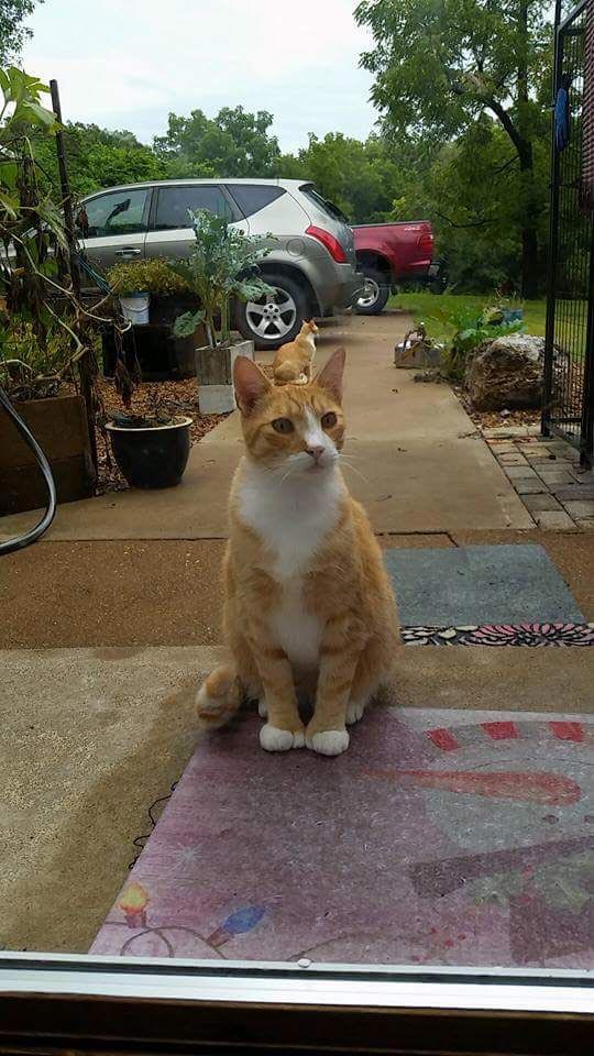 оптические иллюзии, оптические иллюзии ракурс, оптические иллюзии перспектива