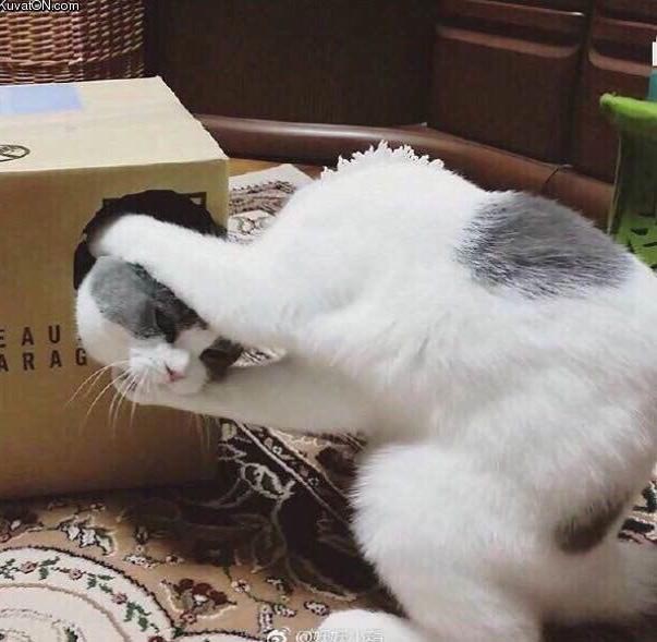 оптические иллюзии, оптические иллюзии ракурс, оптические иллюзии перспектива