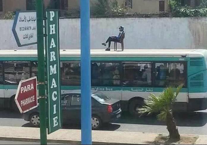 дикие фотографии, безумные фотографии, фотографии безумия