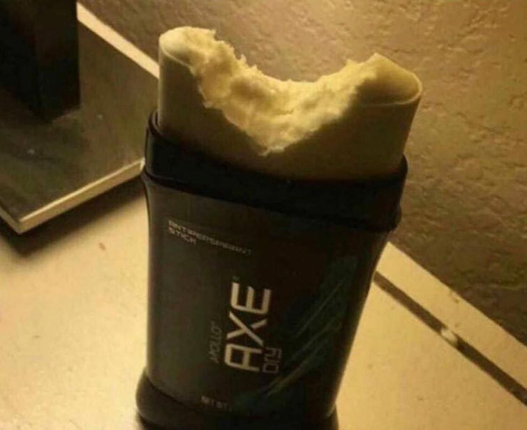 дикие фотографии, безумные фотографии, фотографии безумия