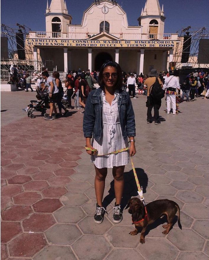  такса выпала из самолёта и скиталась 6 дней в пустыне, такса гаспар