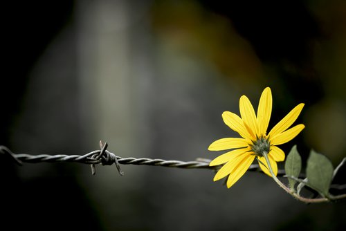 изобретения не менялись, вещи не менялись с изобретения, вещи не нужны улучшения, старинные вещи которые не изменились