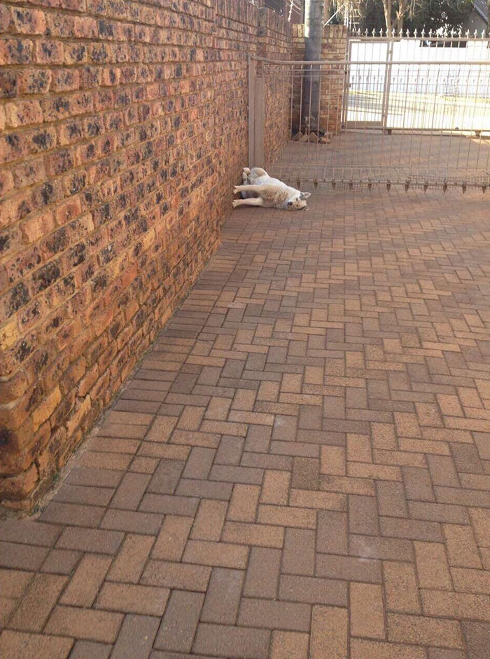 25 нарушающих гравитацию фотографий, на которые вам захочется взглянуть дважды нарушающие гравитацию фотографии, не в курсе что такое гравитация