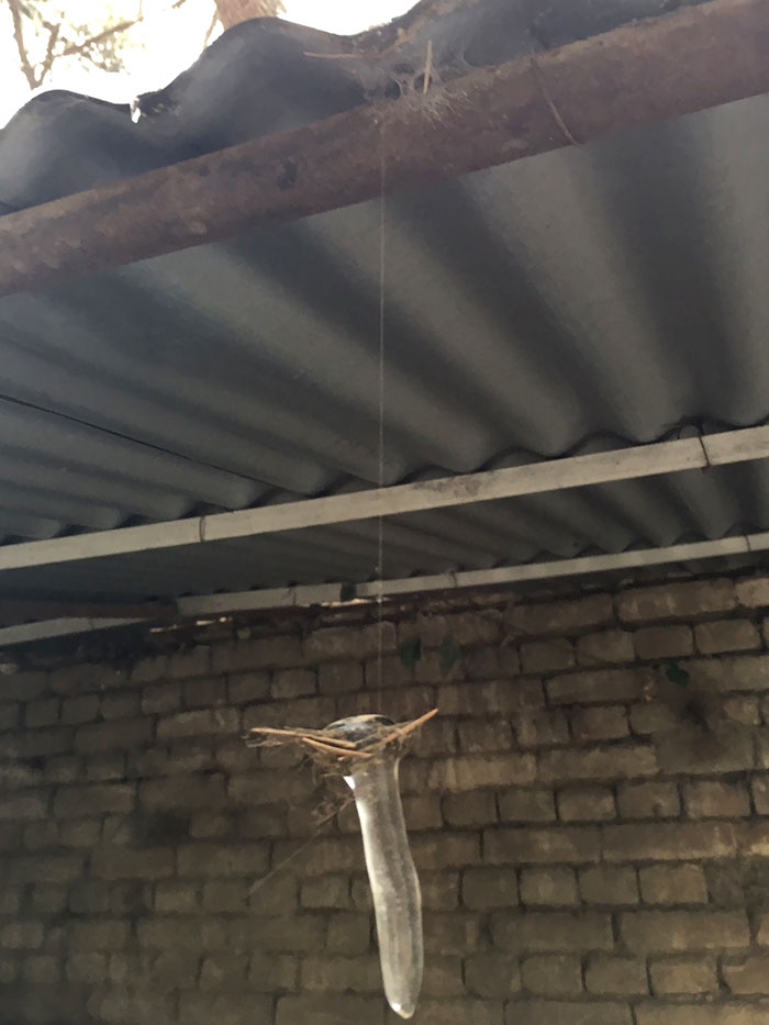 25 нарушающих гравитацию фотографий, на которые вам захочется взглянуть дважды нарушающие гравитацию фотографии, не в курсе что такое гравитация