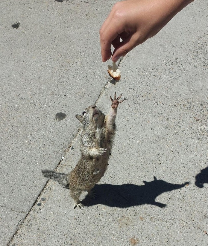 фотографии сделанные в нужный момент, снимки сделанные в нужное время